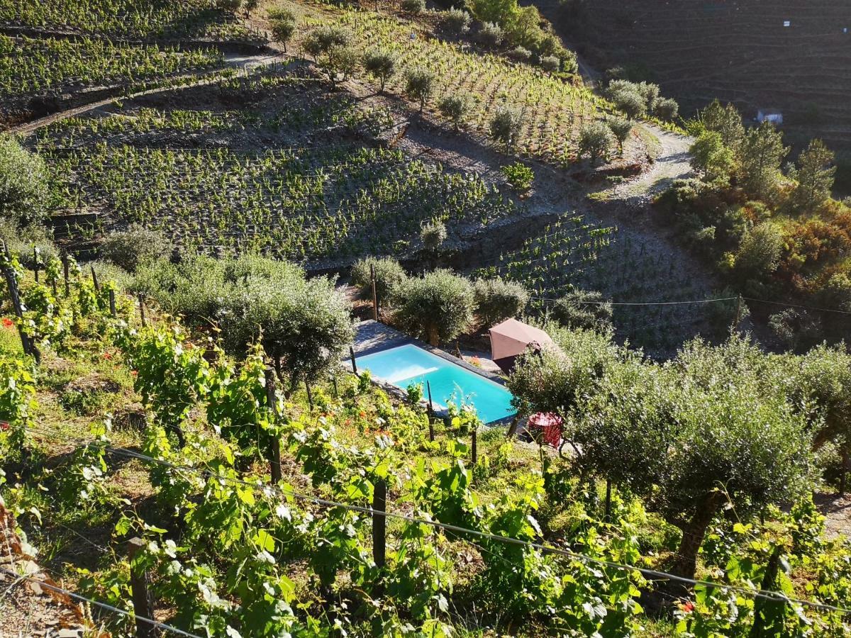 Quinta Das Fontainhas - Douro Valley Villa Tabuaço Exterior foto