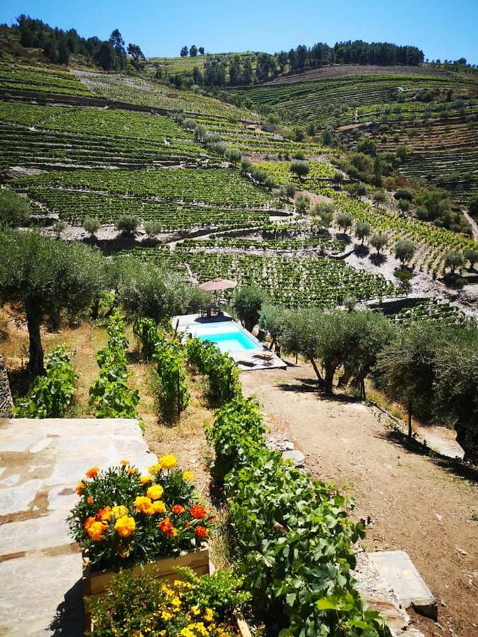 Quinta Das Fontainhas - Douro Valley Villa Tabuaço Exterior foto