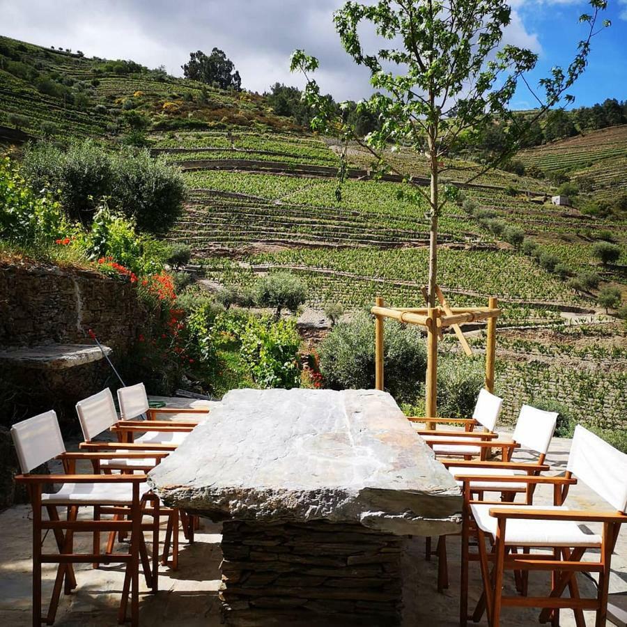 Quinta Das Fontainhas - Douro Valley Villa Tabuaço Exterior foto
